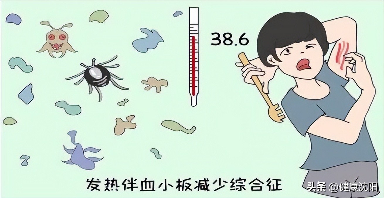 03f786e37e35444cb5e728c76f9a3b3b_tplv-tt-origin-web_gif.jpeg