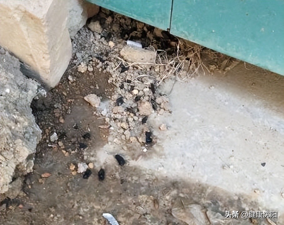 50b095326e97430780ed40474d110e7c_tplv-tt-origin-web_gif.jpeg