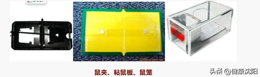 14e5ec99631041ecbfcf6f1dc5fd19eb_tplv-tt-origin-web_gif.jpeg